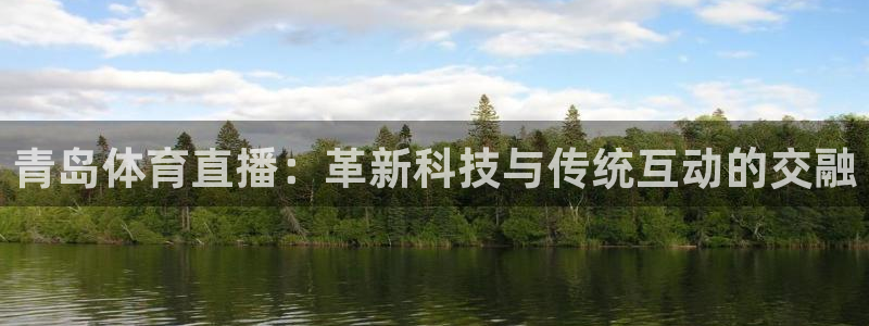 飞速足球直播吧