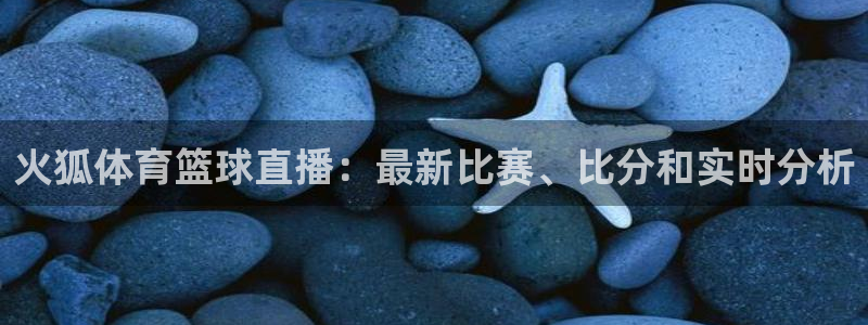 飞速体育足球直播免费观看