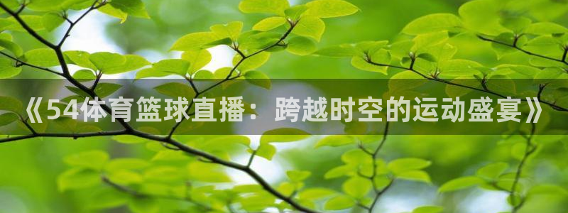 飞速直播jrs：《54体育篮球直播：跨越时空的运动盛宴》