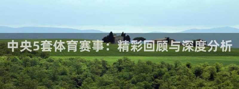足球直播飞速