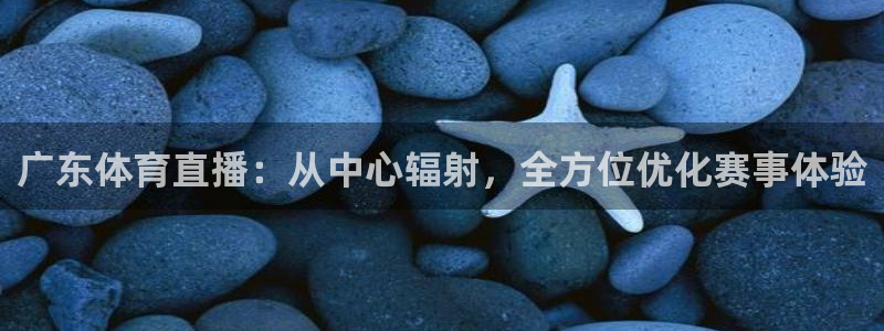 飞速nba直播在线观看