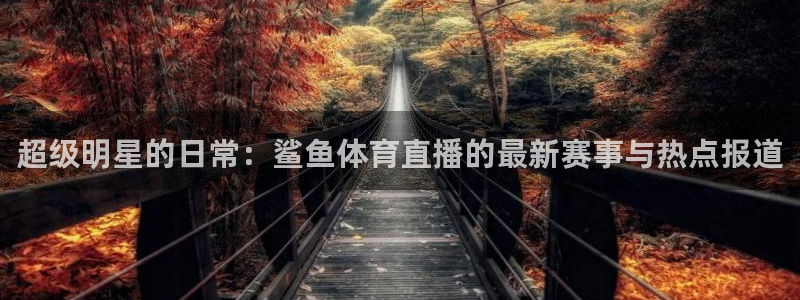 飞速体育直播全面更新升级.网站玩.org