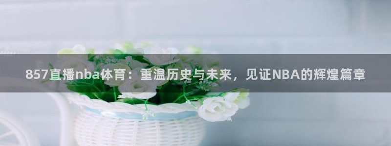 飞速体育直播nba