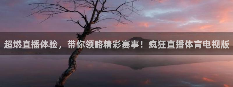 飞速nba在线直播：超燃直播体验，带你领略精彩赛事！疯狂直播体育电视版