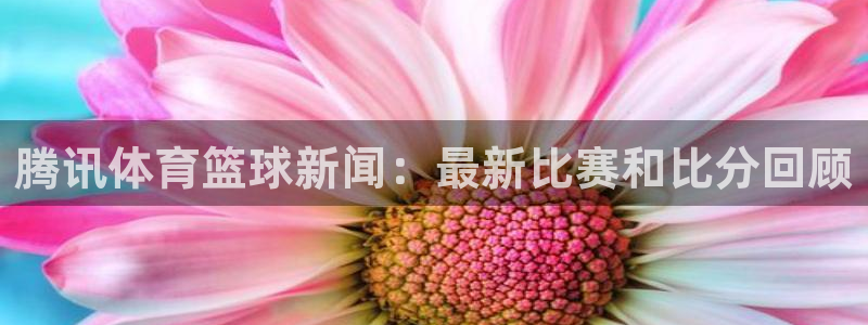 飞速体育直播免费观看：腾讯体育篮球新闻：最新比赛和比分回顾