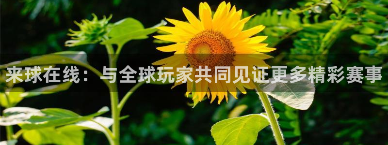 飞速体育nba直播：来球在线：与全球玩家共同见证更多精彩赛事