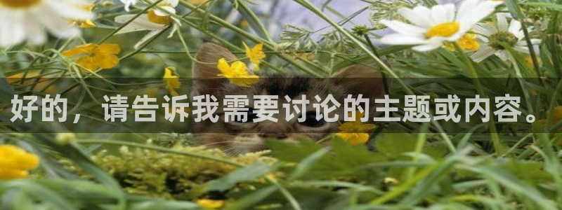 飞速nba直播在线观看：好的，请告诉我需要讨论的主题或内容。